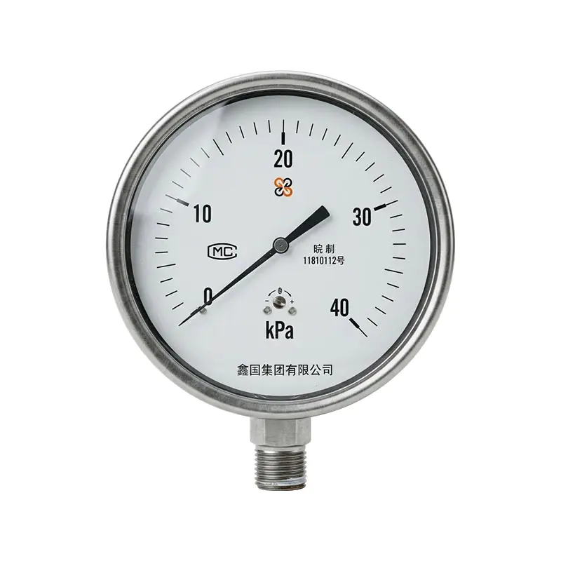 XG/YE-100B ステンレス製ダイヤフラムボックス圧力計